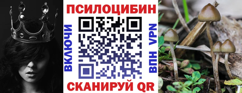 omg сайт  Козельск  Галлюциногенные грибы Psilocybine cubensis  цена наркотик 